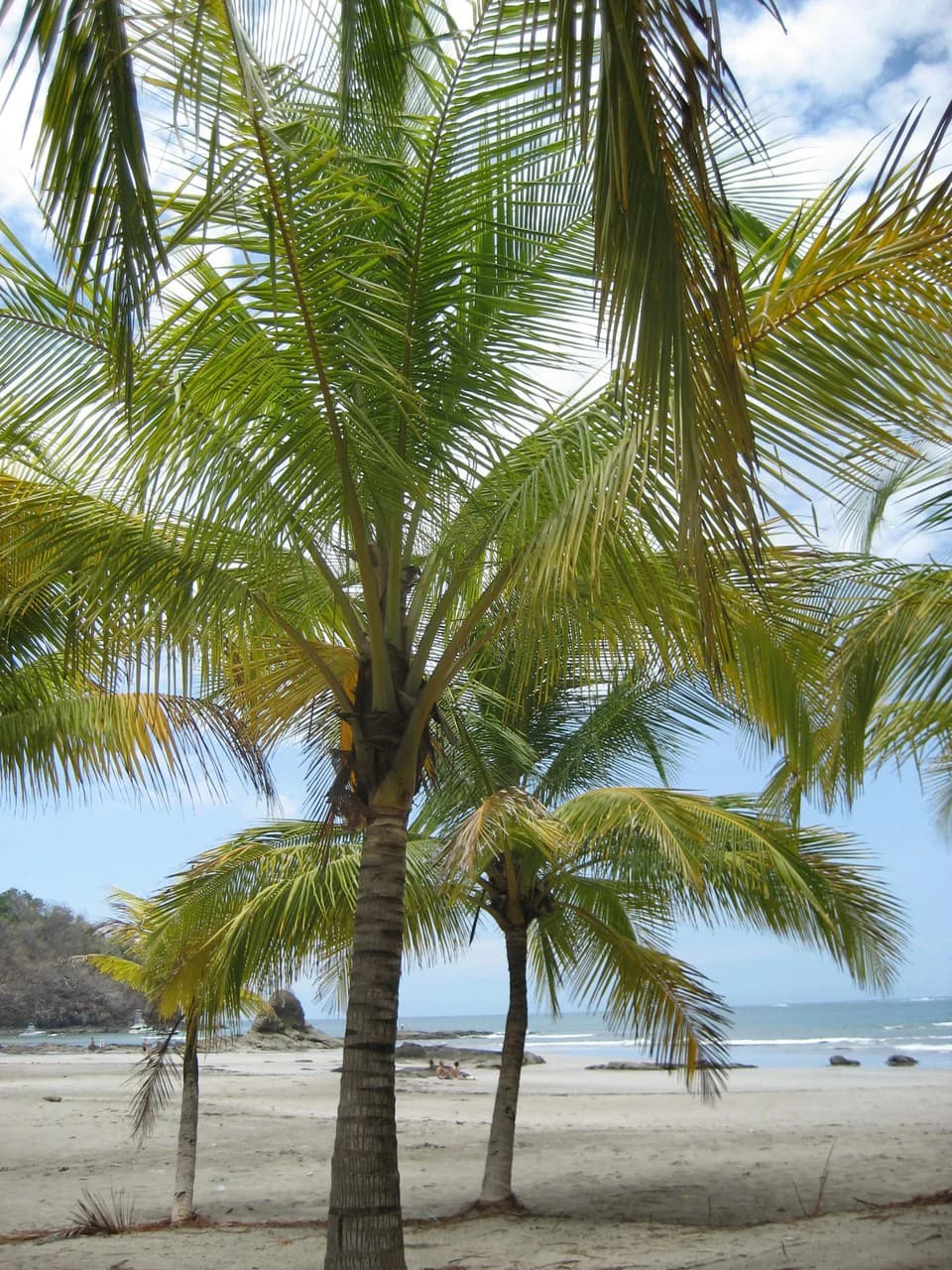 Beach Boutique Hotel for sale, Turn Key business opportunity in an established community in Playa Carrillo, Guanacaste - photo 20