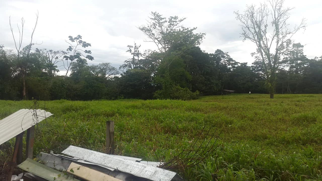 Countryside Development Parcel For Sale in Cariari