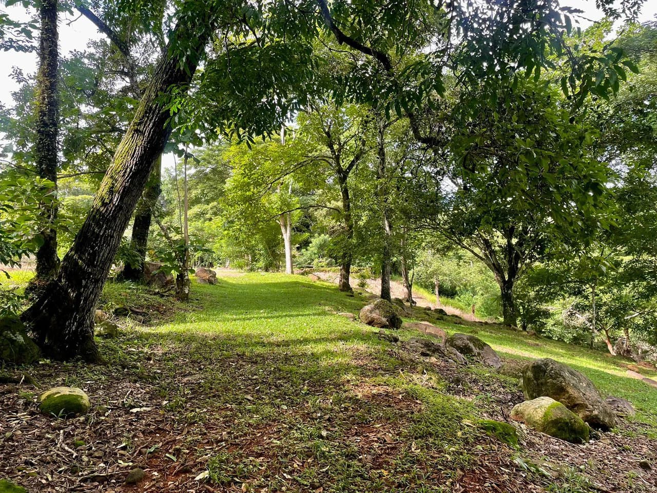 Property for Sale for Tourism Development with River in Orotina Alajuela Costa Rica - photo 16