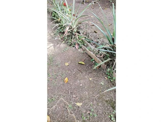 Countryside, Lakefront and Mountain House For Sale in Arenal - photo 11
