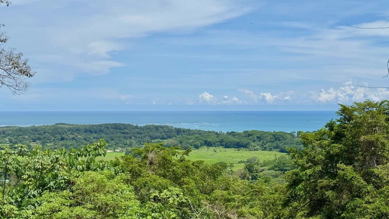 Exclusive and Unique Ocean Views lot in the Hills of Uvita! - photo 4