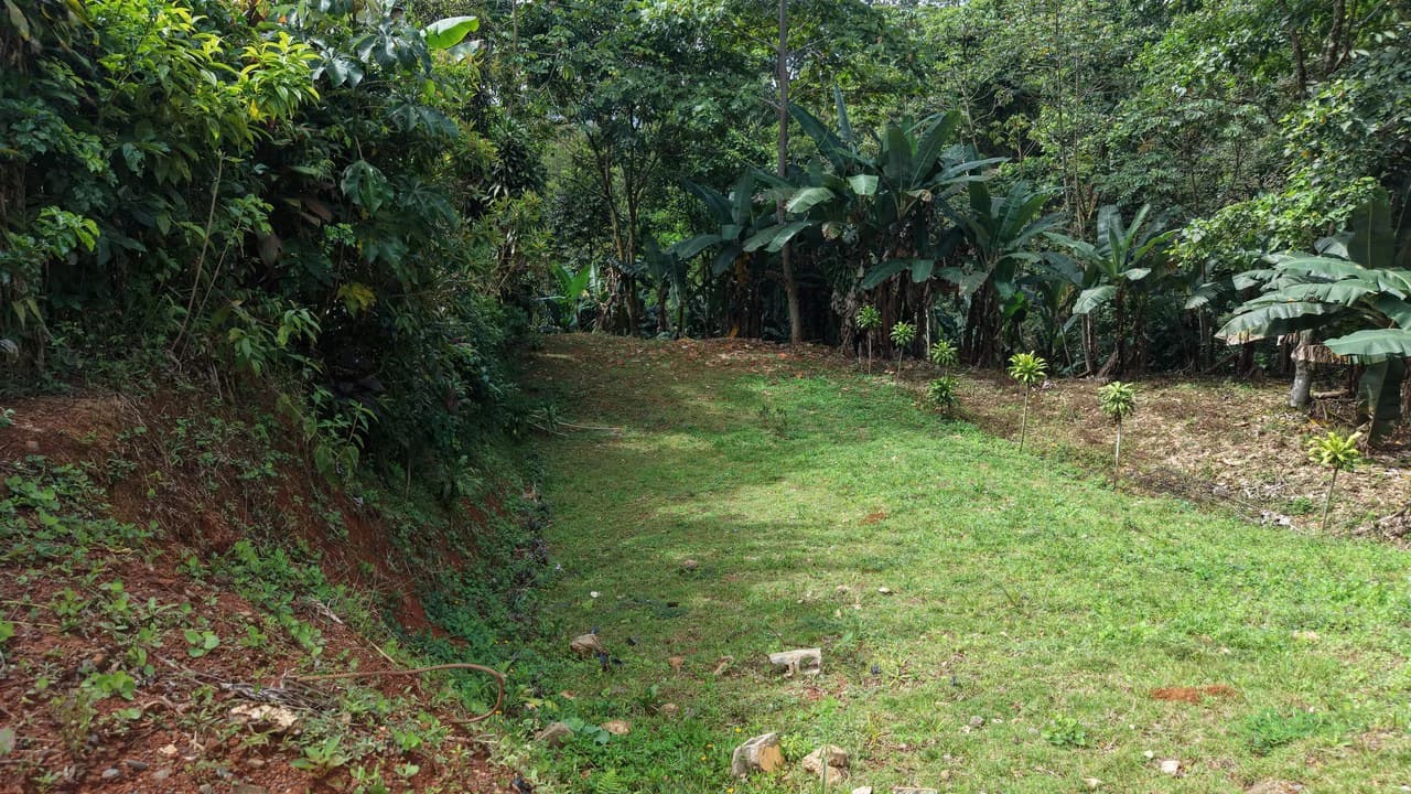 Mountain Home Construction Site For Sale in San Rafael Norte - photo 2