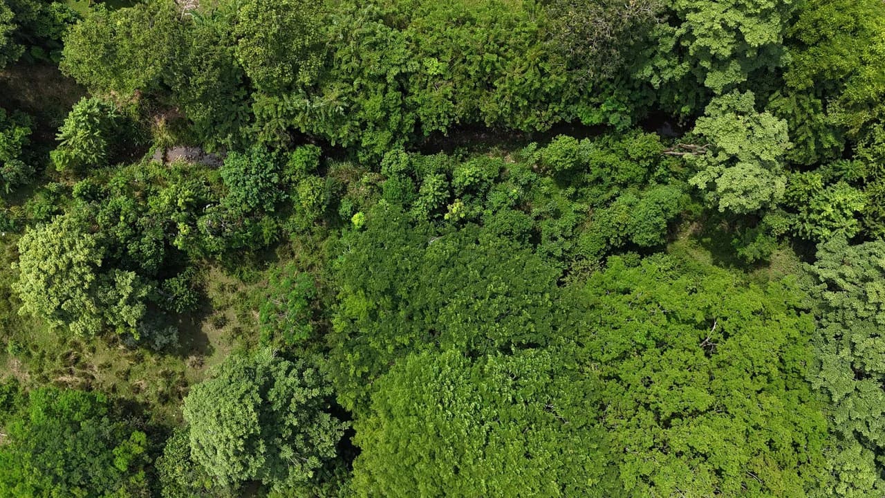 Walk to the beach, Developement Land, Mini Ranch, Central Uvita - photo 8