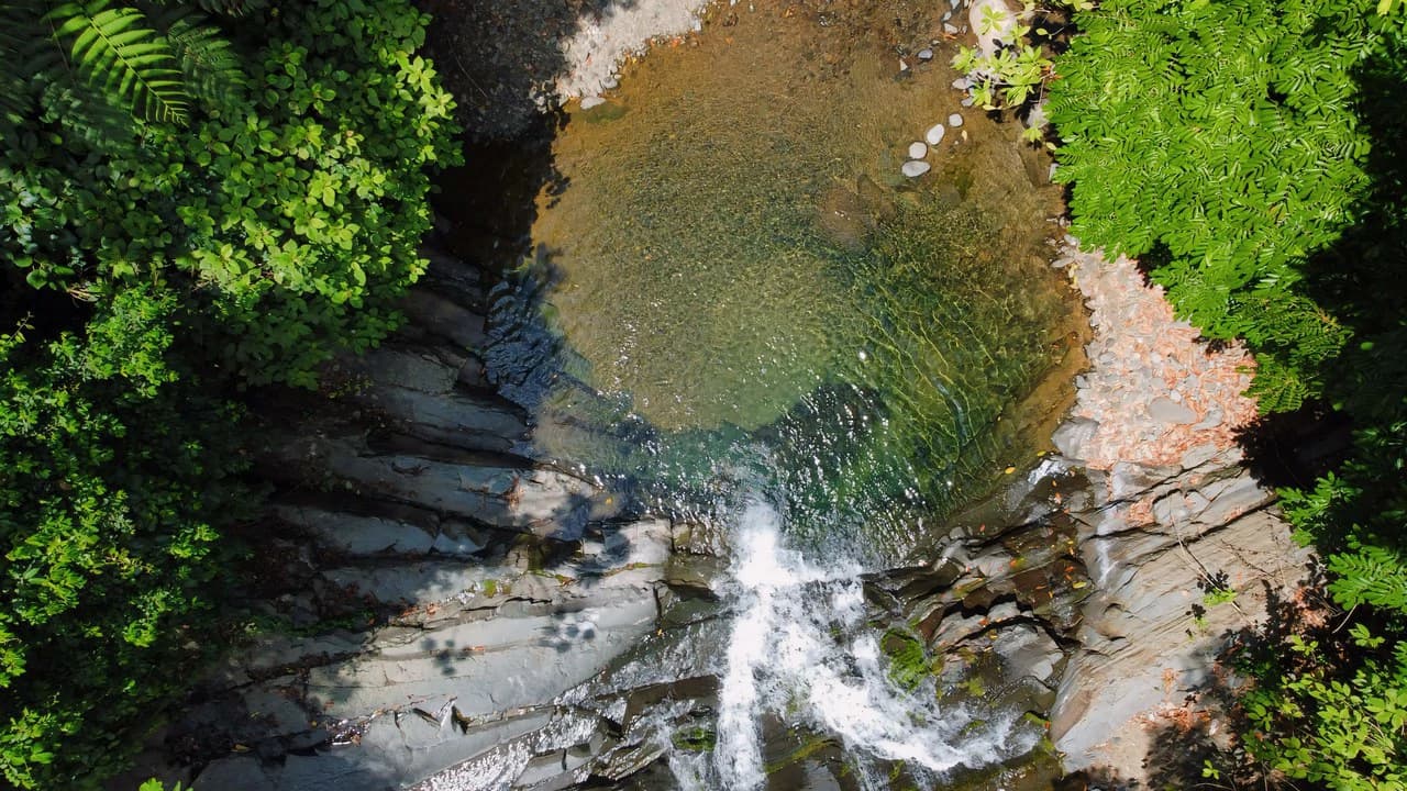 FINCA CERRO DEL TIGRE! OVER 20 ACRES OF PRIMARY FOREST AND WATERFALLS.: Mountain Agricultural Land For Sale in La Unión - photo 30