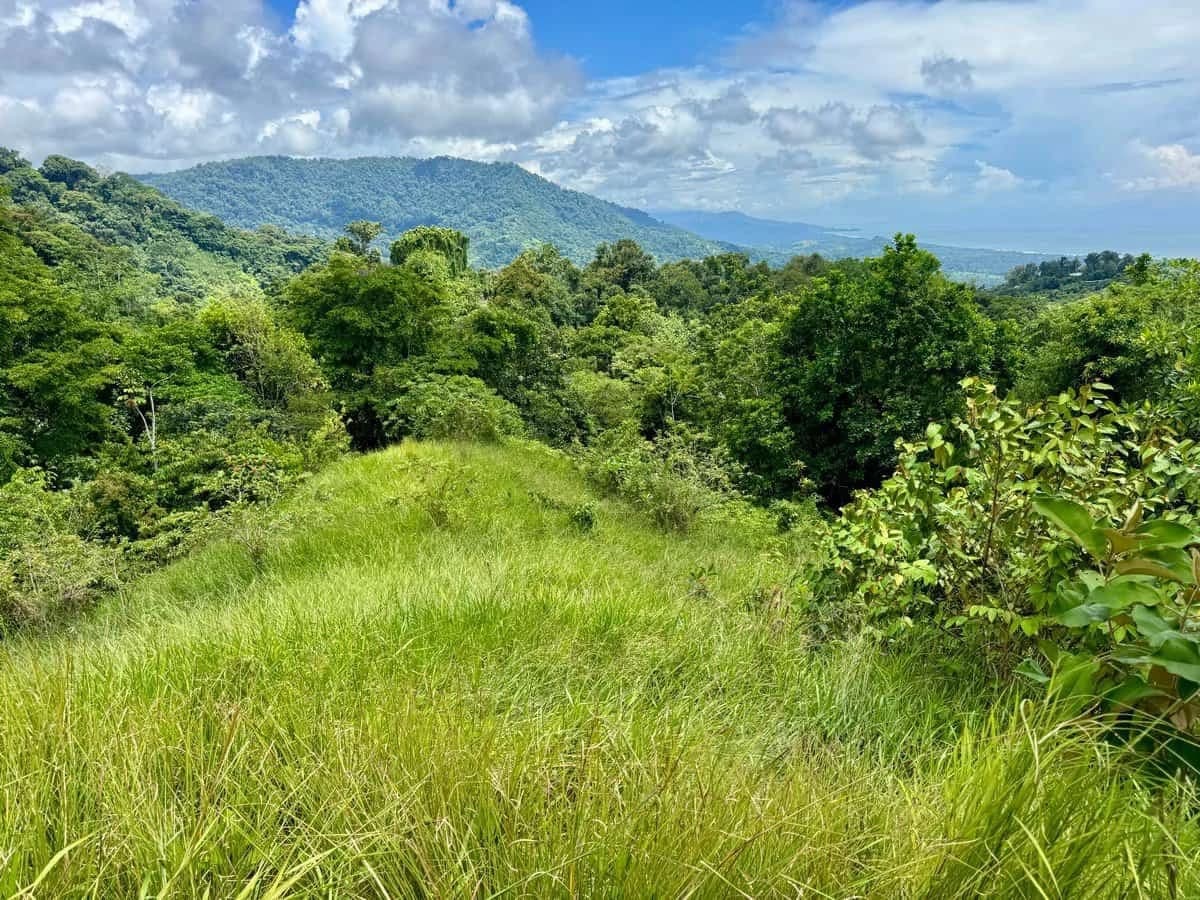 1.14 ACRES – Amazing White Water Ocean View Property, Public Road Frontage, All Utilities Ready To Build!!!! - photo 9