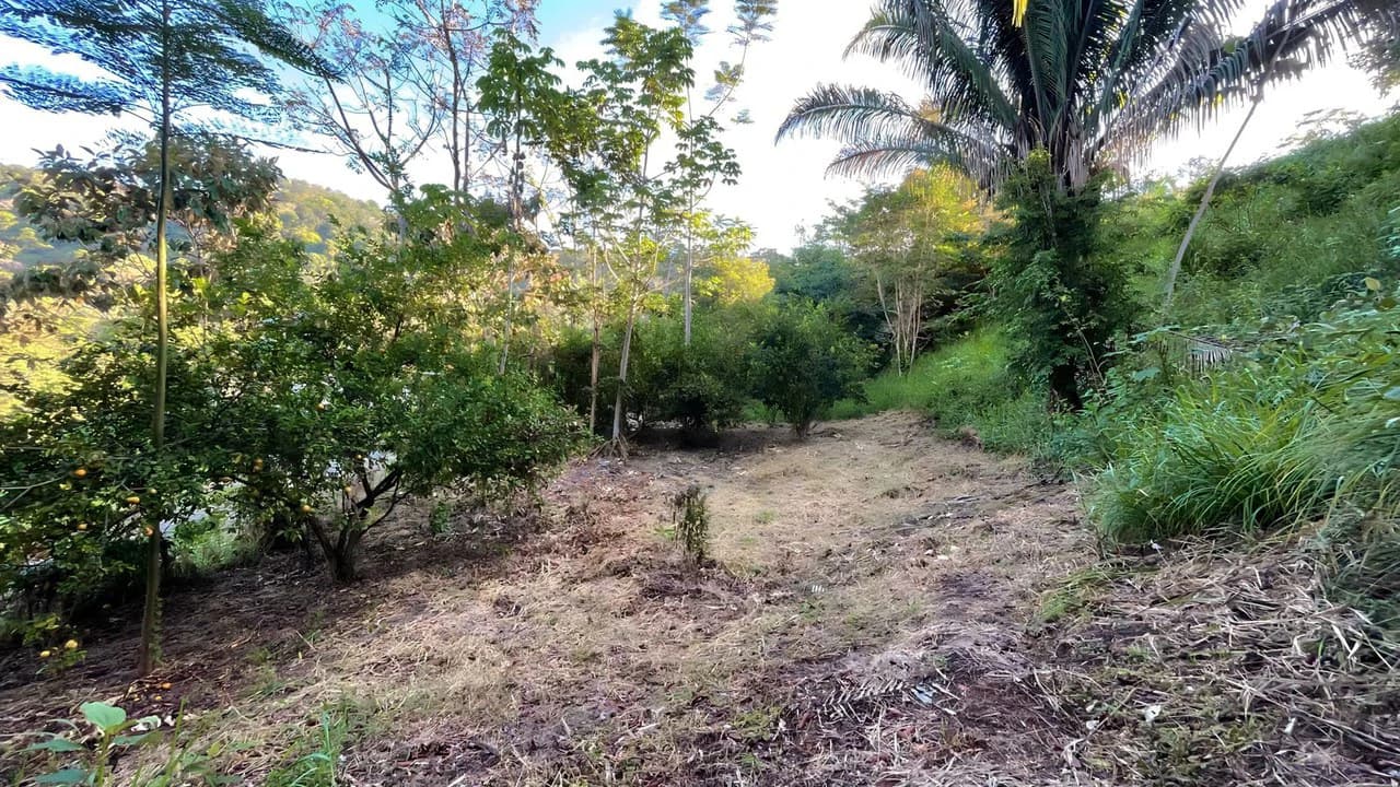 Exclusive Hermosa 1.2 Acre Lot with Panoramic Mountains and Ocean View. - photo 9