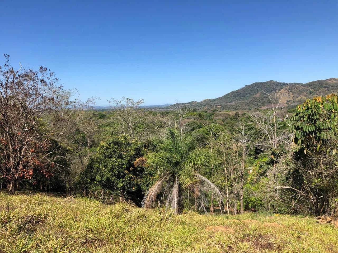 Peace, Privacy, Nature!: Finca in Eco friendly natural area - photo 8