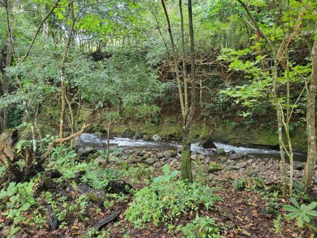 Charming property for sale in Nueva Guatemala with stunning views of the Tenorio Volcano and the beautiful green valleys - photo 4
