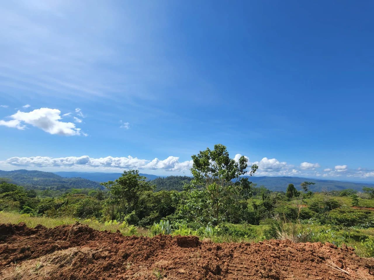Fire Sale Farm with Ocean View | Piedras Blancas, Osa Peninsula