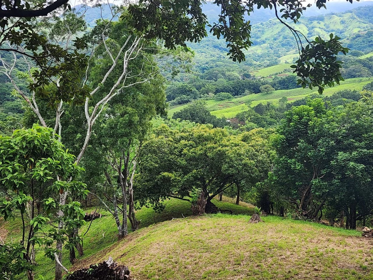 Mountain and Countryside Home Construction Site For Sale in Desmonte - photo 2