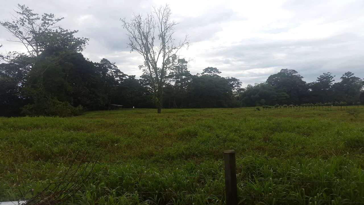 Countryside Development Parcel For Sale in Cariari - photo 2