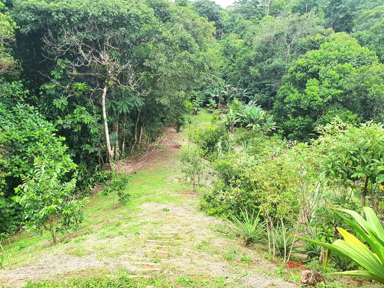 Land in Bijagual with a river crossing the property! - photo 15