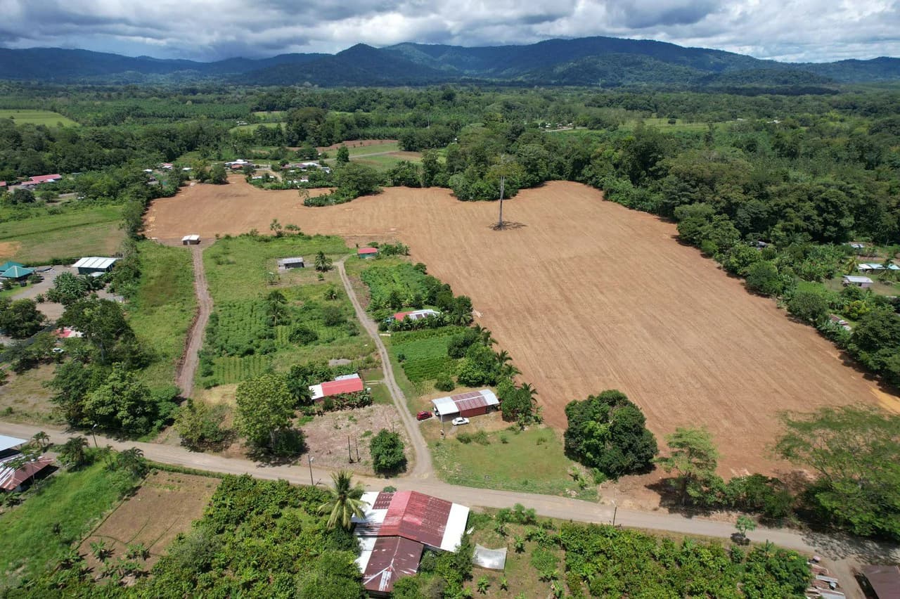 Finca La Palma, Puerto Jimenez: Excellent location ideal for development - photo 11