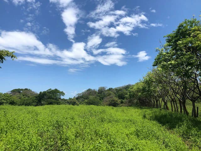 Amazing 50% discount for Huge ocean-view farm for sale surrounded by soft rolling hills and pristine nature - photo 28