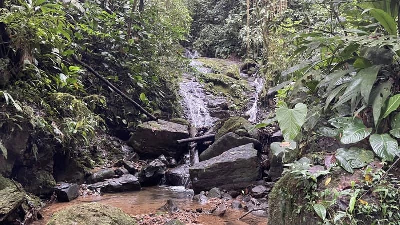 116-Hectare Finca for Sale Near Uvita with Whales Tail Views and 10 Waterfalls | La Faralla, Bahia Ballena, Uvita, Puntarenas, Costa Rica - photo 78