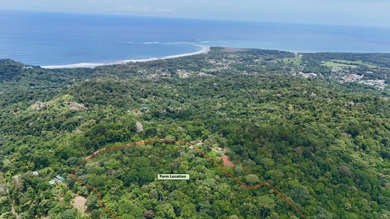 Uvita Development Farm - 40.47 Acres Estate - photo 1