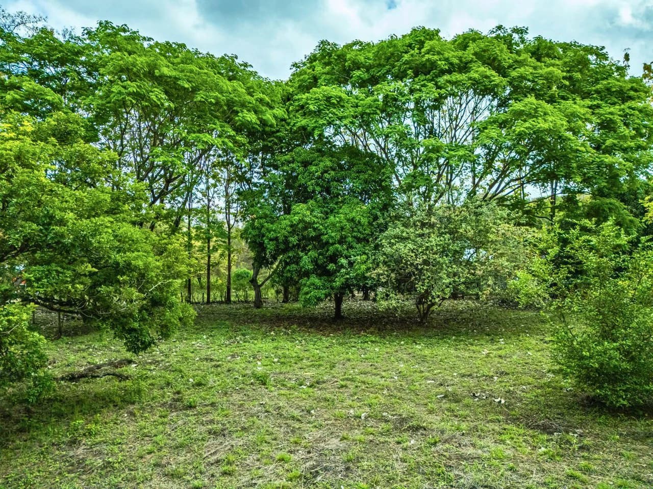 Marbella Dream Lot: 2.4 Acres of Natural Beauty Near the Beach - photo 5