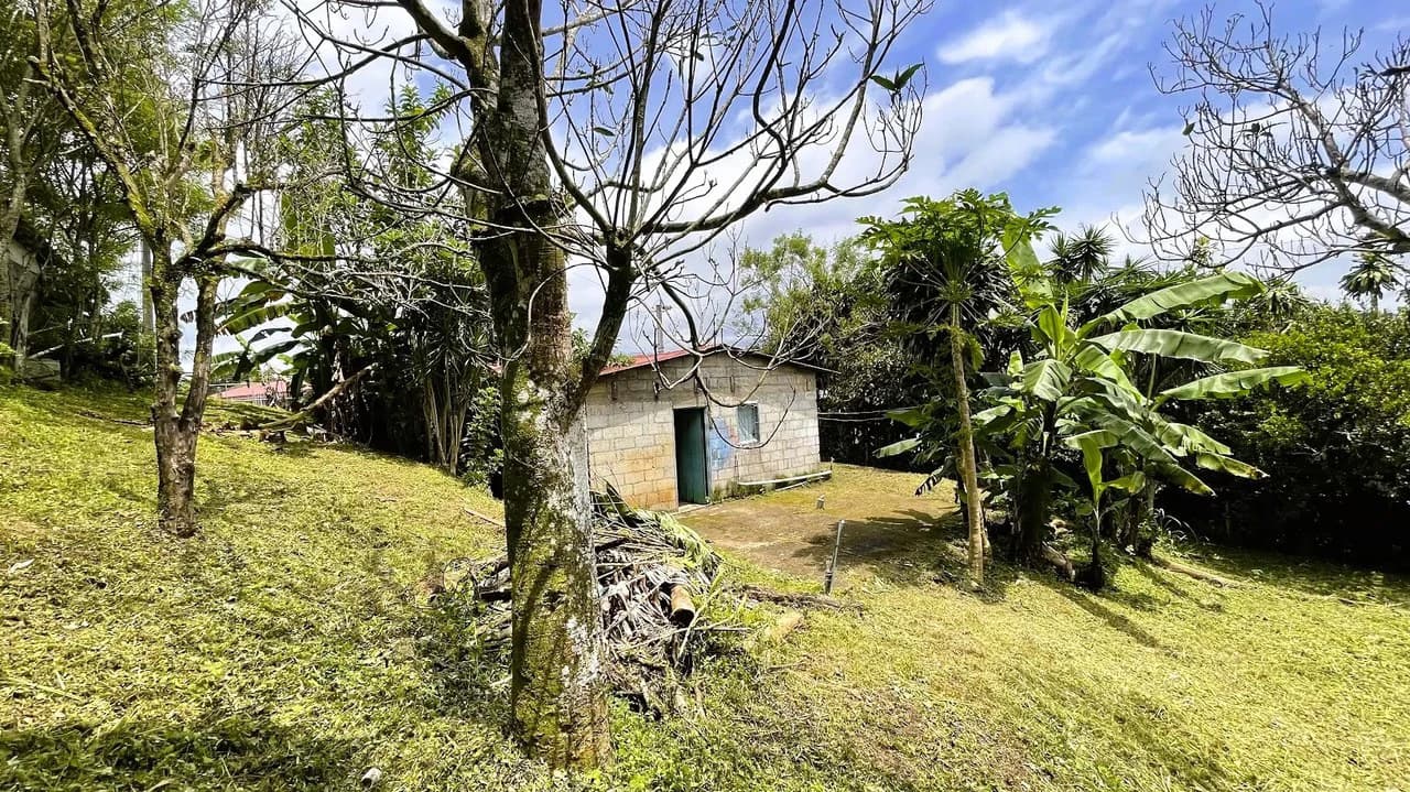 INVESTMENT: HOUSE & LARGE LOT IN SAN ISIDRO, SAN RAMON: House For Sale in San Ramón - photo 14