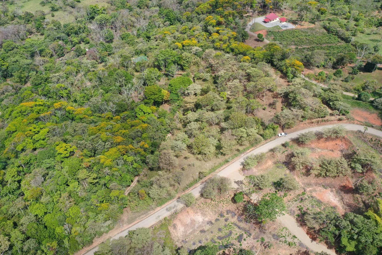 Elevated Two and a Half Acres with Cool Breeze in San Isidro del General - photo 4
