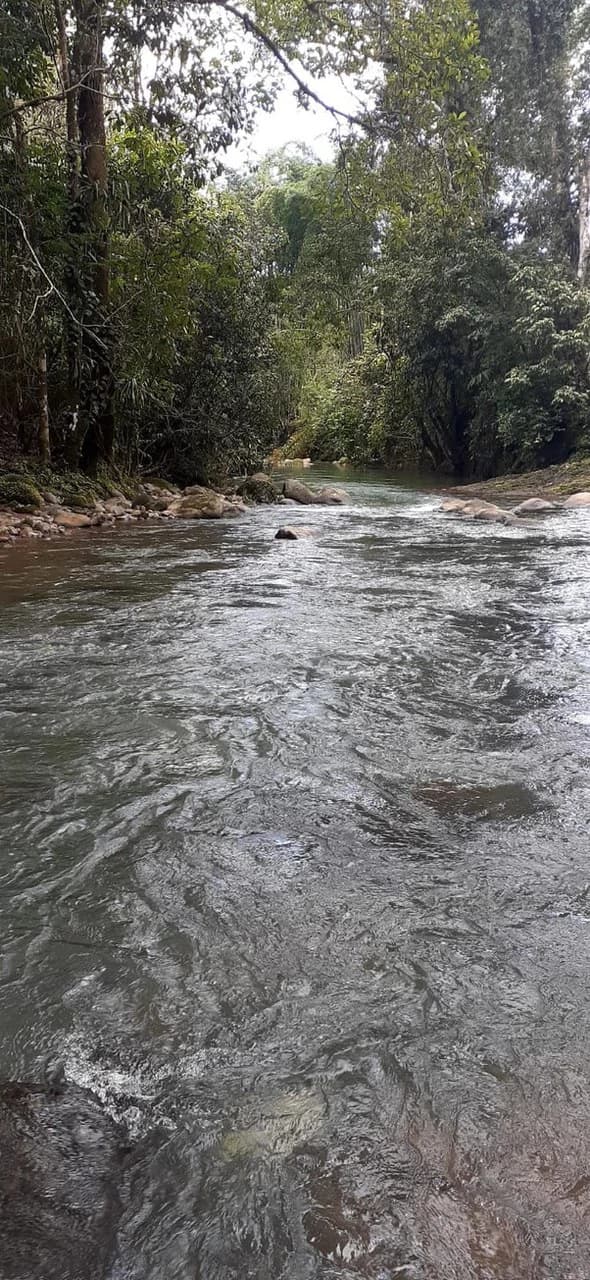 SECLUDED PARADISE WITH STUNNING VIEWS, WATERFALLS & ABUNDANT WILDLIFE - photo 6