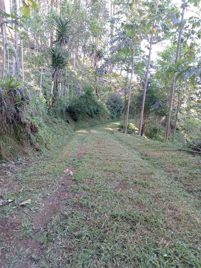 CAPTIVATING OCEAN AND PANORAMIC MOUNTAIN VIEW FINCA IN PURISCAL - photo 6
