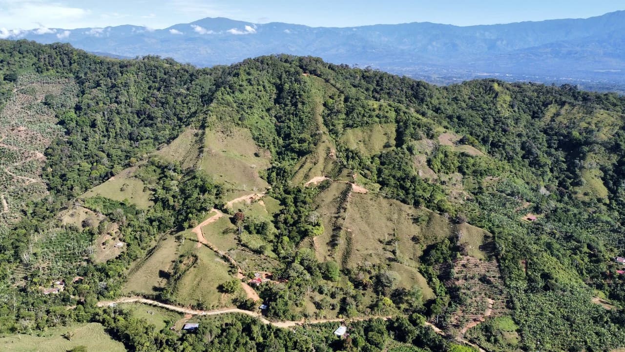 Finca Ceibo Memo: Mountain Home Construction Site For Sale in San Isidro del General - photo 29