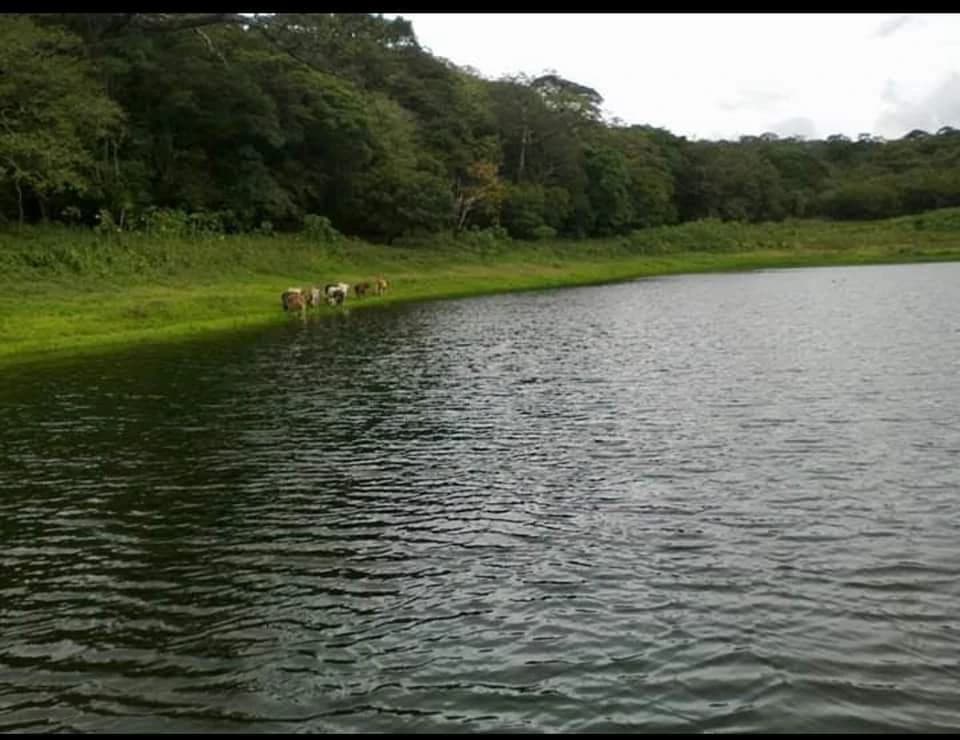 Finca Los Angeles: JUST REDUCED ! 281 Acre Farm with River, Lake, and Sunset views - photo 8