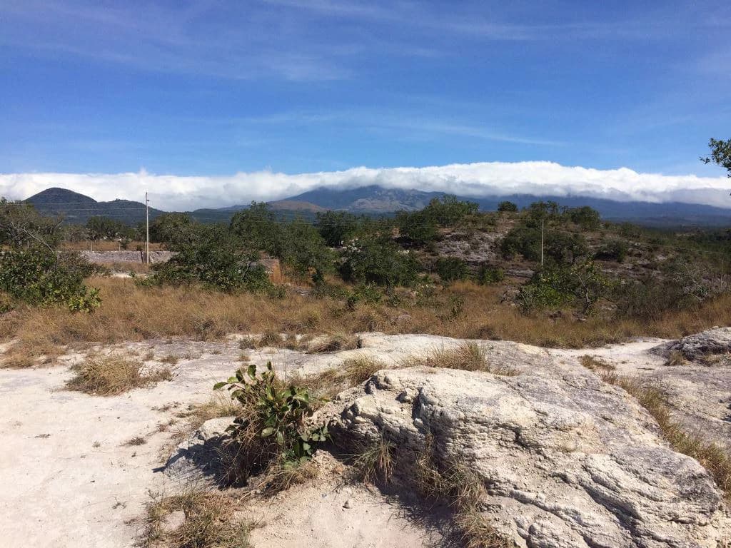 Large Property in Curubandé of Liberia - photo 18