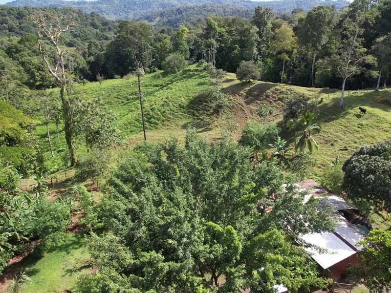 69.16 Acres Property | Mountain & Top Ocean View with Small Home - photo 21