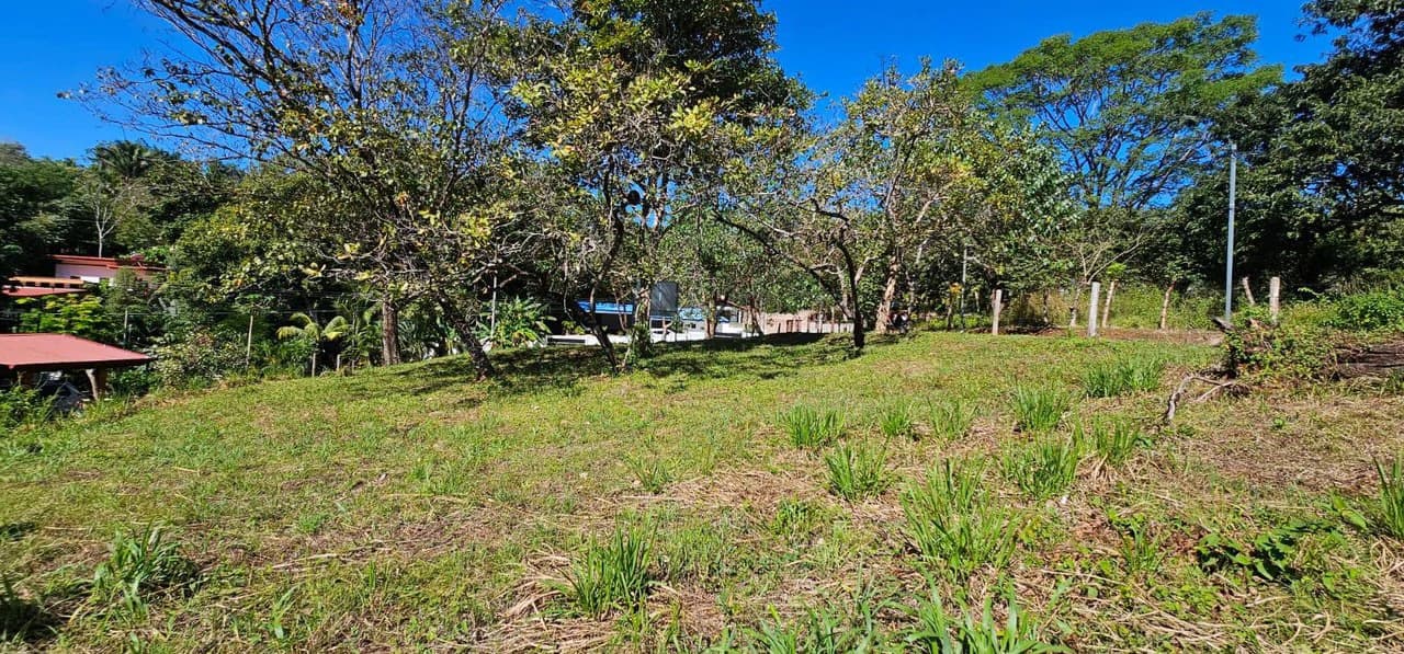 Nature's Gateway: Smart Choice Mixed-Use Property Near Carrillo Beach: Countryside Home Construction Site For Sale in Playa Carrillo - photo 4