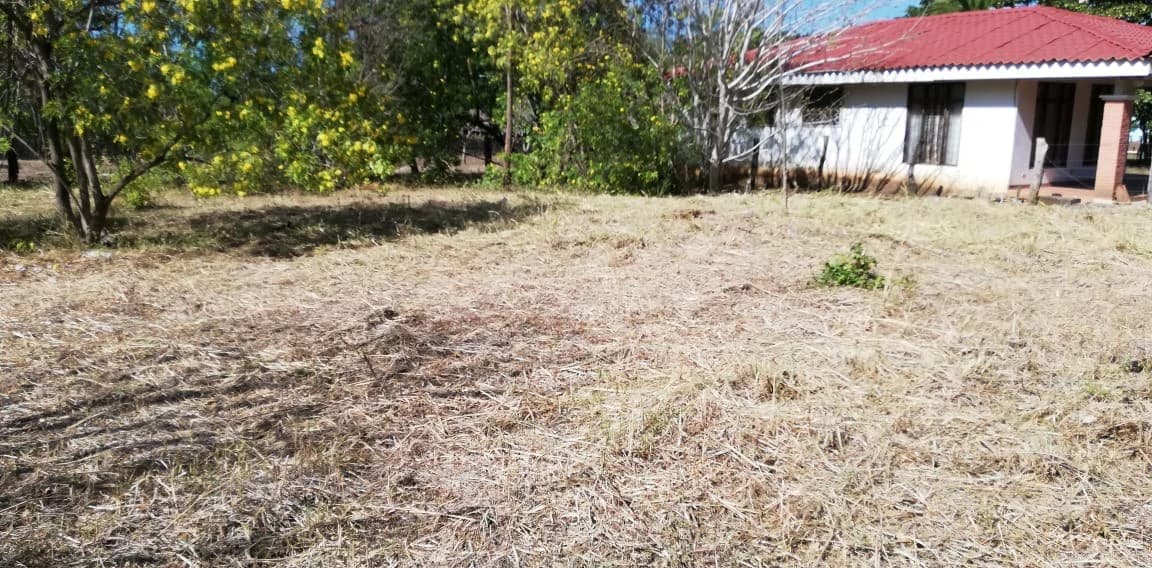 Property in Coco Beach - photo 5