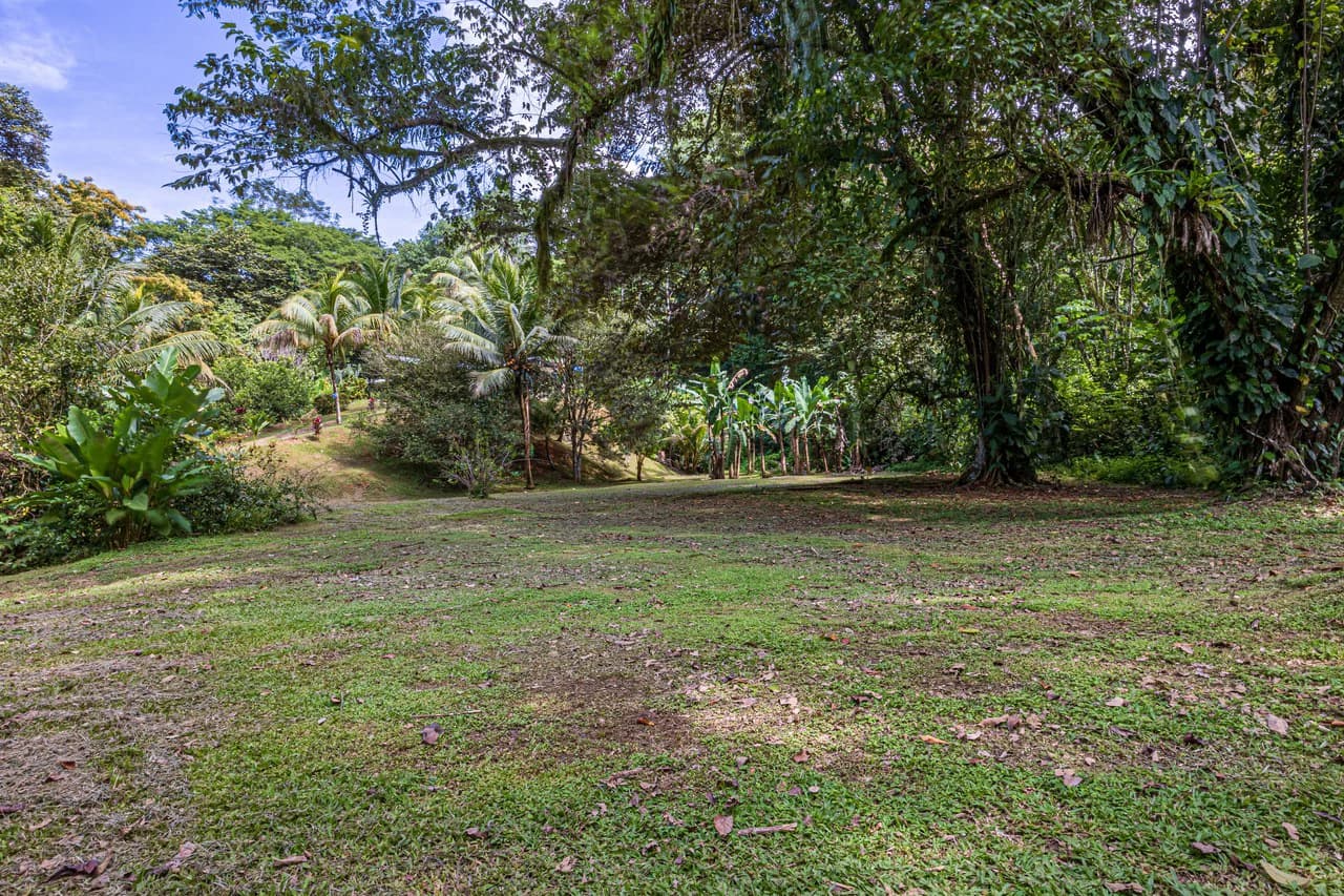 Tropical Hideaway – 7 Acres of Secluded Riverfront with a 3-Bedroom Home: Mountain House For Sale in Bahía Ballena - photo 36