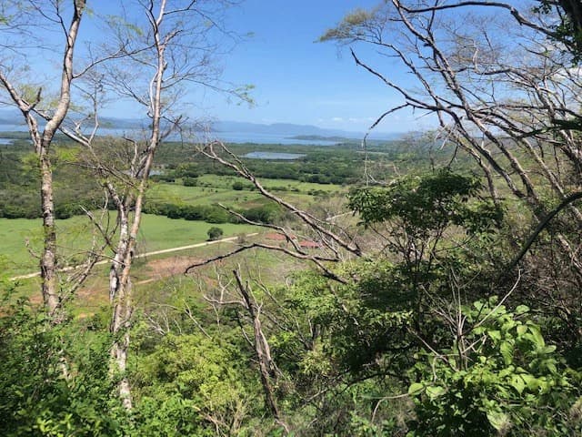 Amazing 50% discount for Huge ocean-view farm for sale surrounded by soft rolling hills and pristine nature