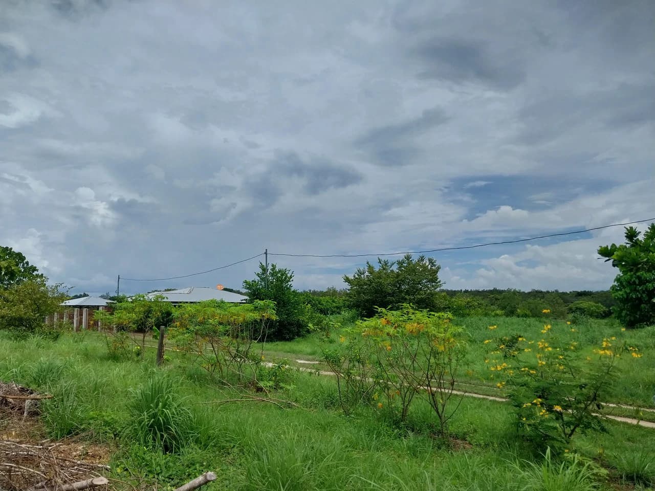 T-182: Volcano view and lot for Sale in Liberia - photo 6
