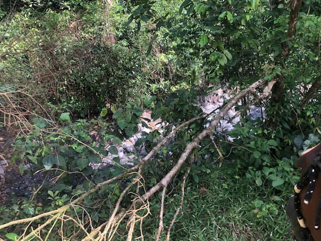 Hot and Cold Thermal Springs for Sale – Beautiful Property in Dos Ríos, Alajuela with Excellent Commercial Potential - photo 33