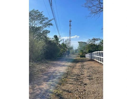 For Sale: This beautiful flat lot in La Ceiba of Orotina - photo 4