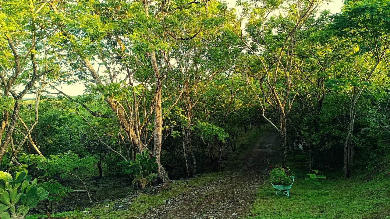 Hill top house with amazing sunset views GB0125: Peaceful Retreat with developing Potential: Property with 2 Homes and Panoramic Views in Guayabo de Bagaces - photo 12