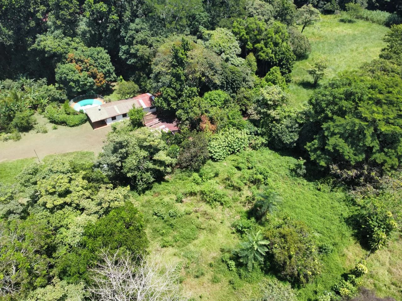 Peace, Privacy, Nature!: Finca in Eco friendly natural area