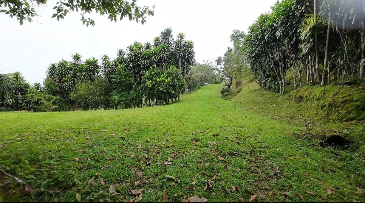 LOTE EN VENTA ALTO SAN JUAN, COSTA RICA: Mountain Home Construction Site For Sale in Barú - photo 5
