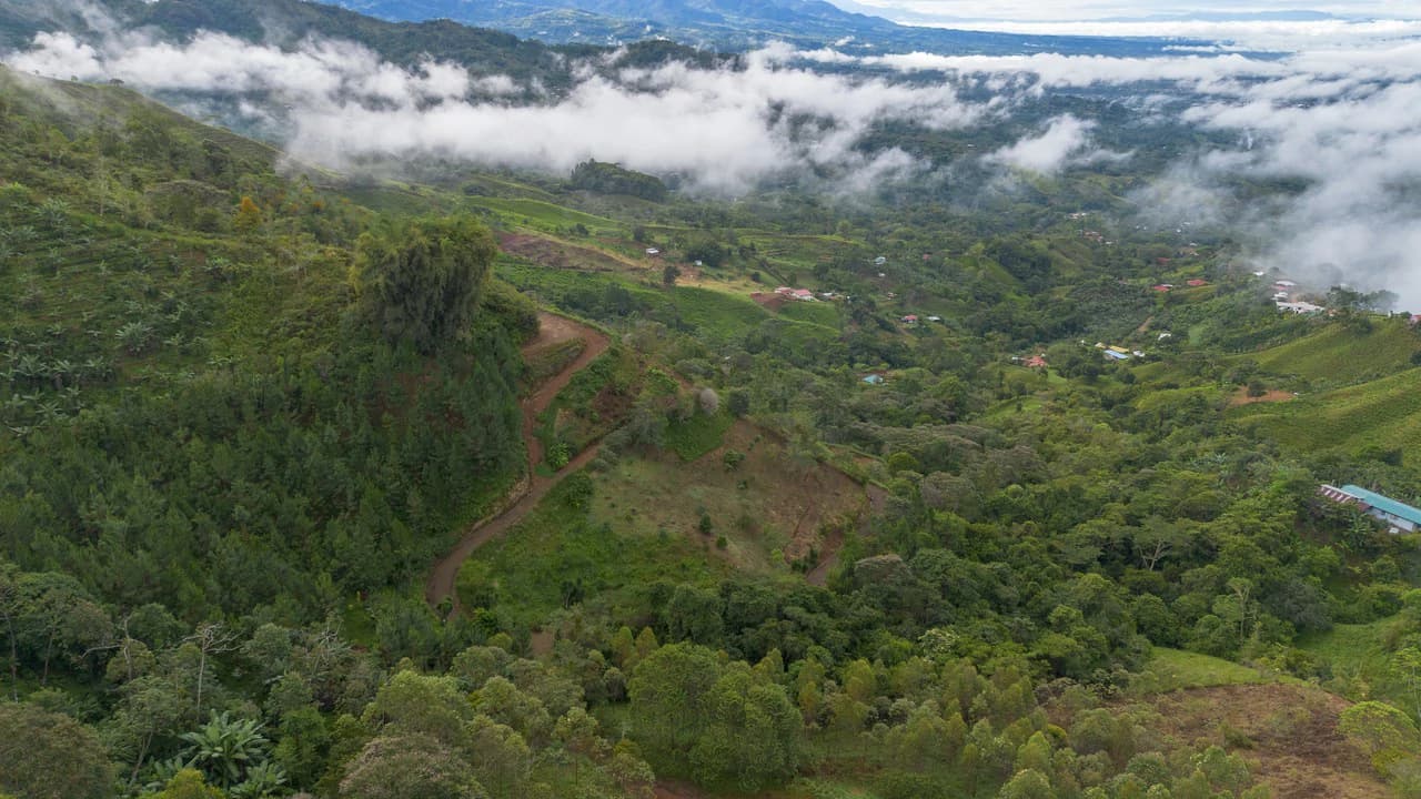 10.21 Acres with Views & Plantels – Pérez Zeledón - photo 15