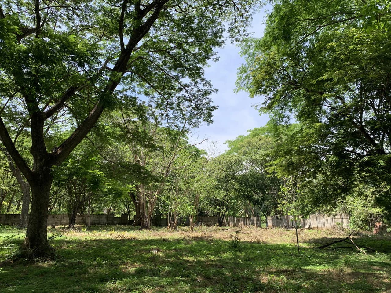 Conchal Bay: Ideal Lot To Build A Hotel Lodge By Conchal Beach - photo 4