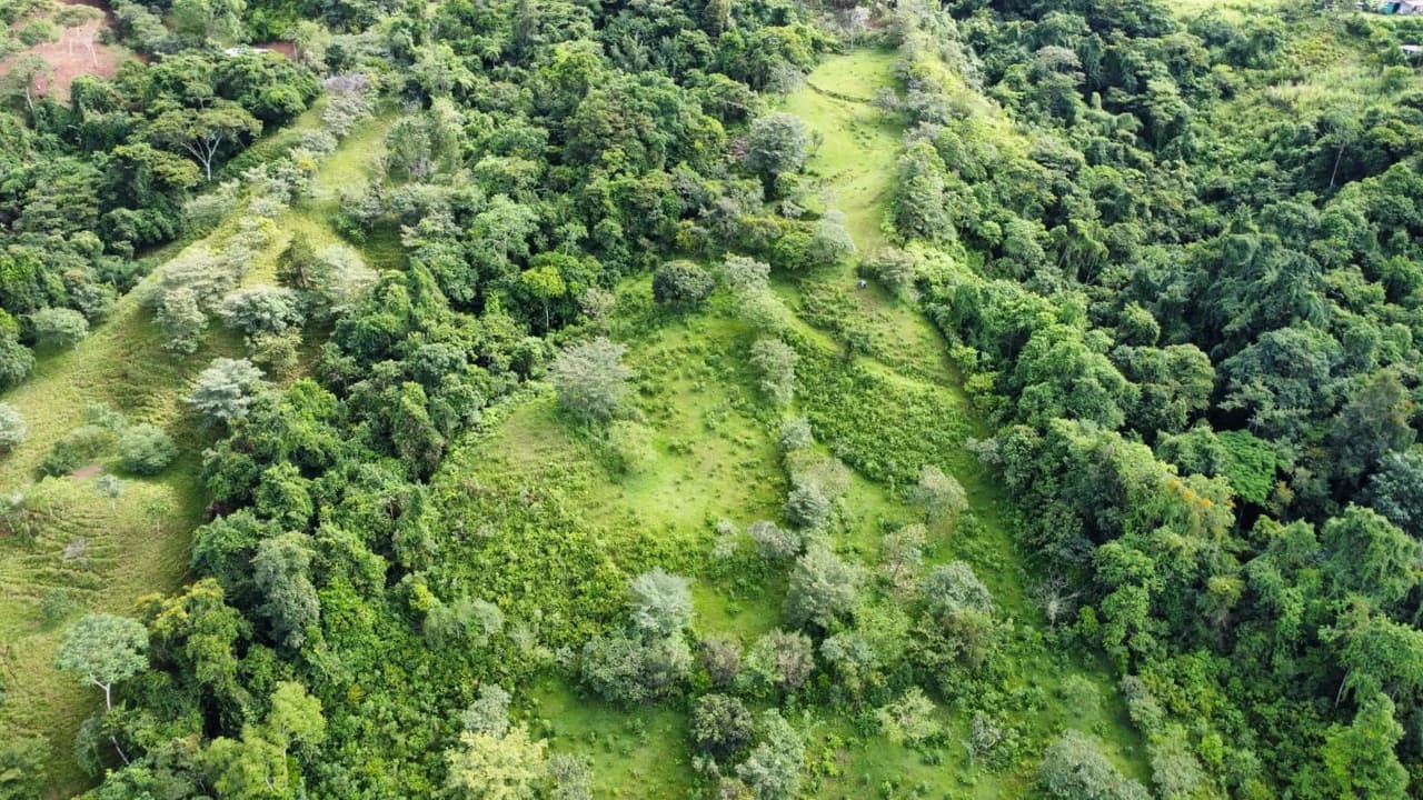 Propiedad en San Blas: Mountain Agricultural Land For Sale in La Linda General Viejo - photo 25