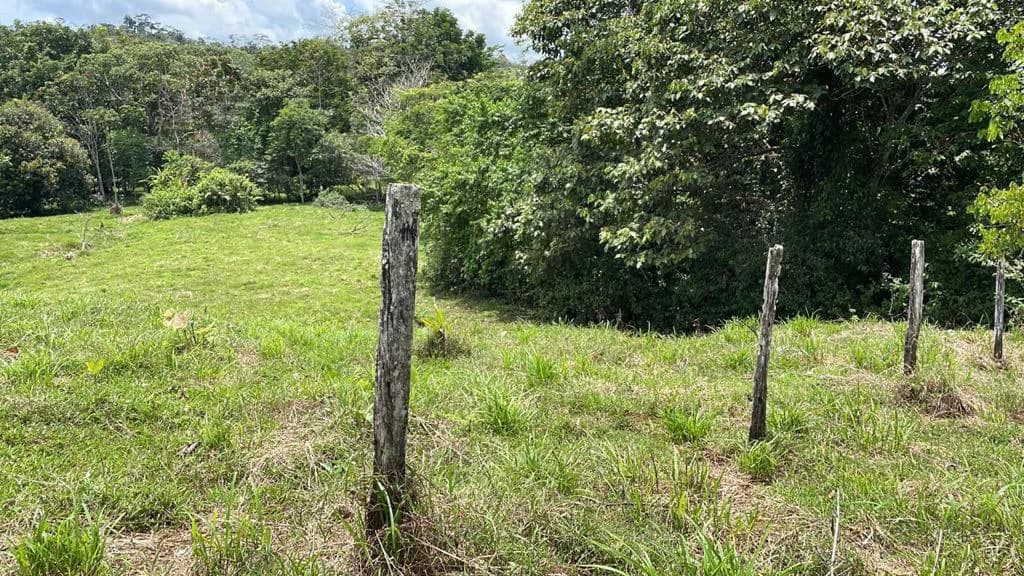 Building potential property for sale, beautiful land in the pure nature close to Bijagua - photo 2
