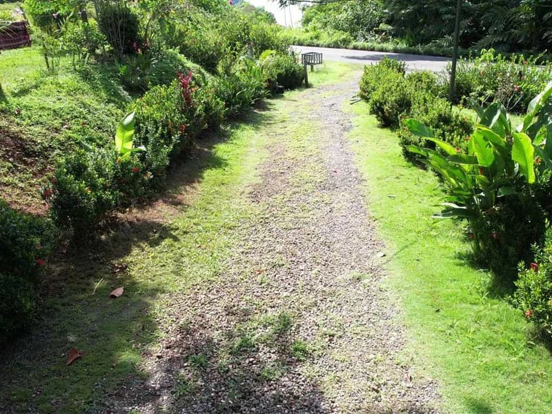 69.16 Acres Property | Mountain & Top Ocean View with Small Home - photo 23