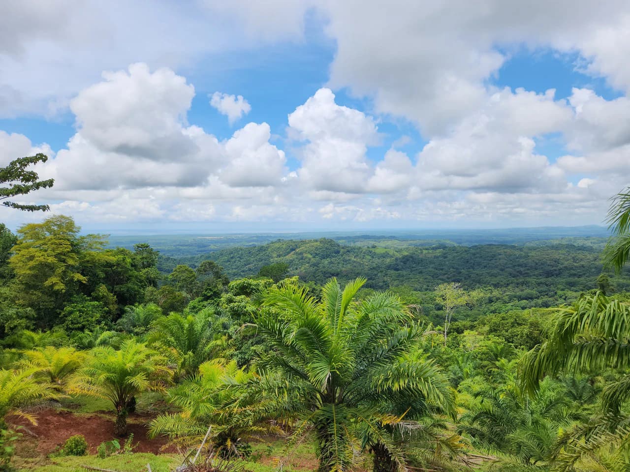 PRIME PARRITA FARM FOR SALE - photo 12