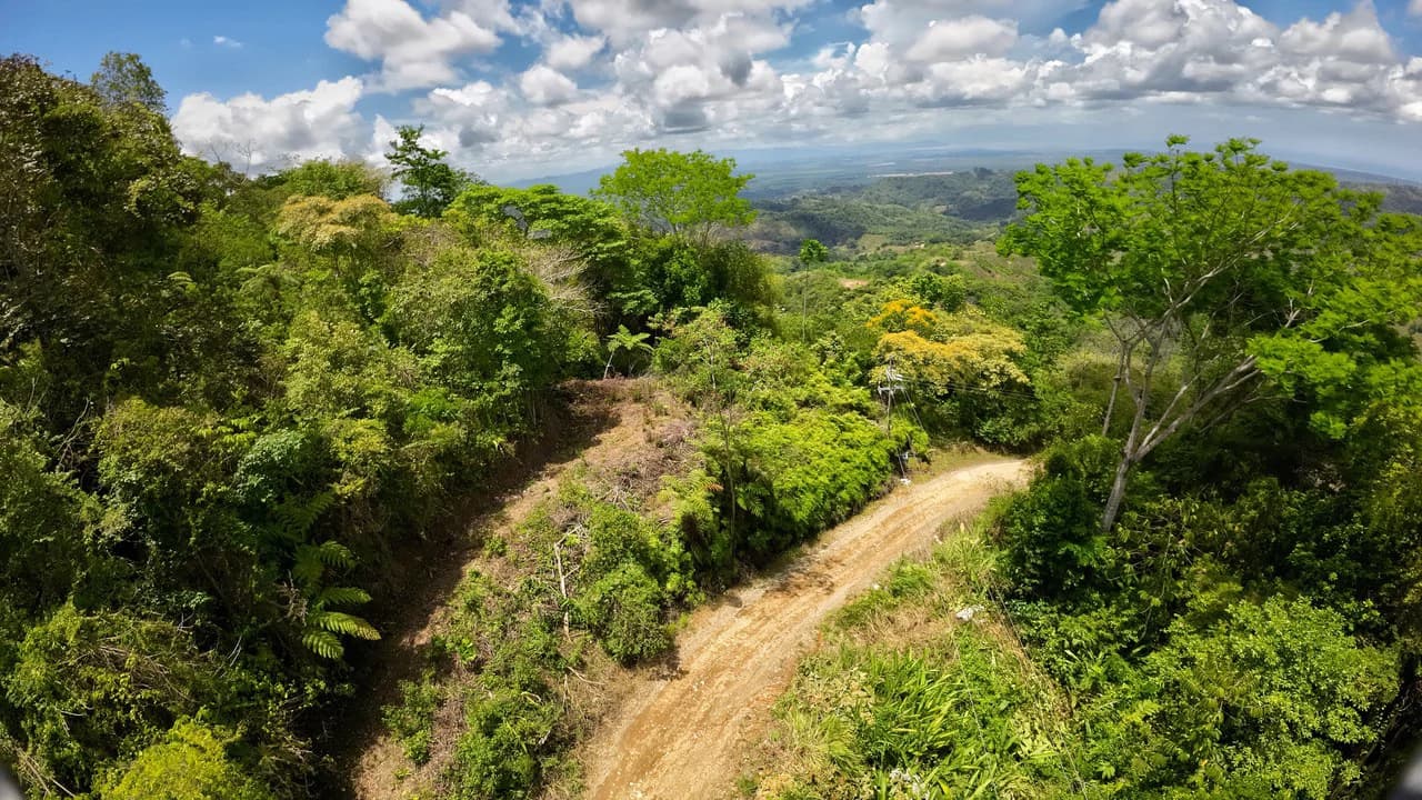 Ocean View Investment Opportunity - photo 17