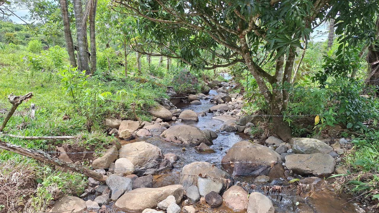 Se vende lote agrícola, en Cajón, Perez Zeledon.: Mountain Home Construction Site For Sale in Cajón - photo 10
