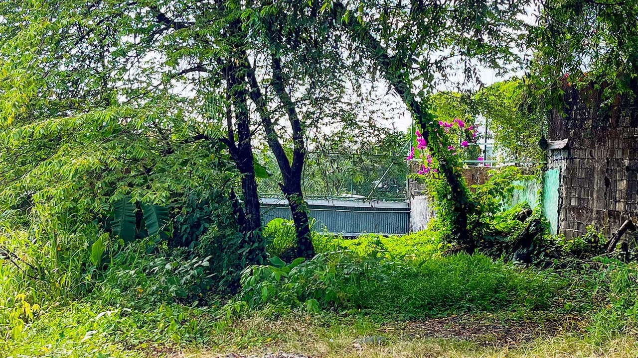 Build Ready Lot in the Heart of Manuel Antonio - photo 9
