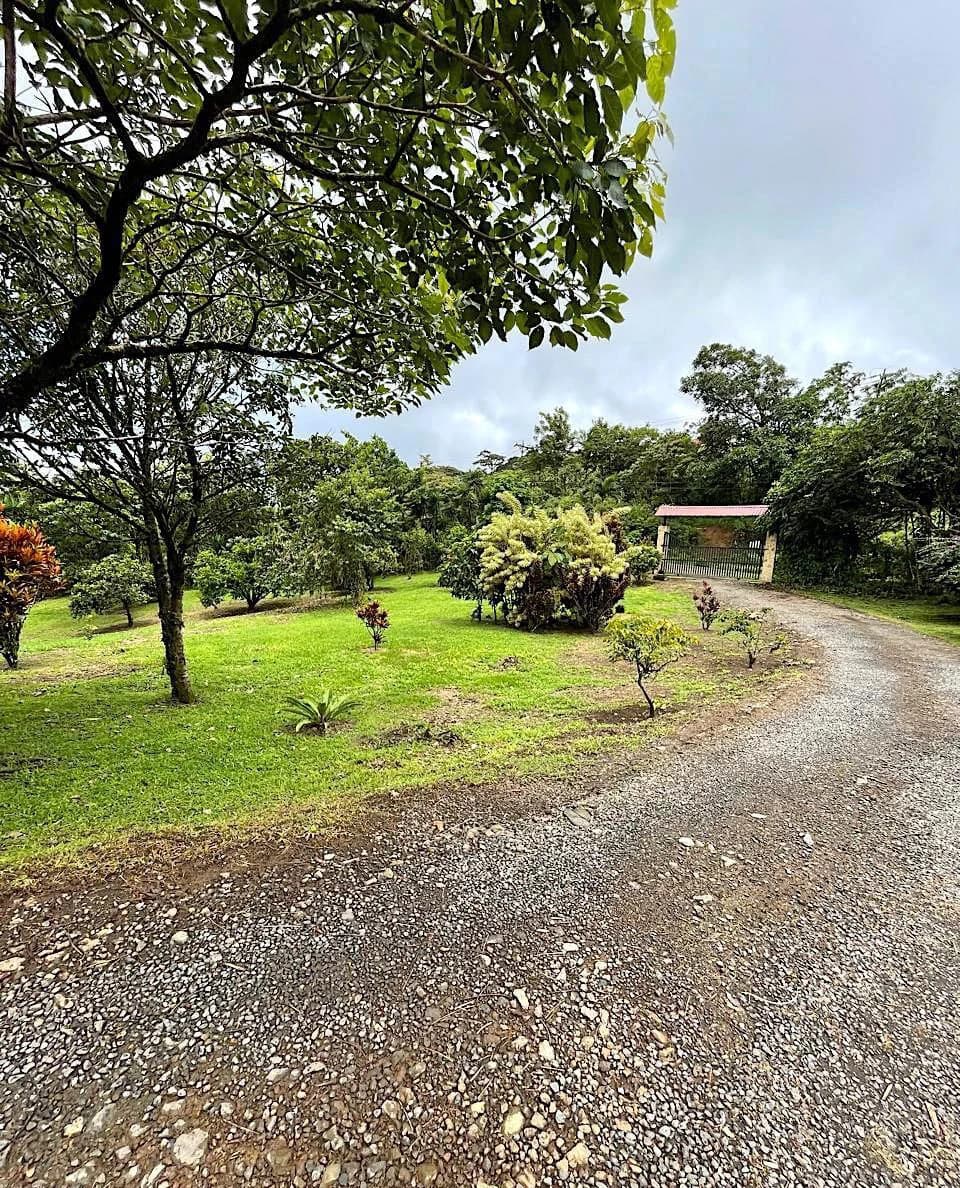 VILLA PIETRA: CAPTIVATING LAKE ARENAL ESTATE WITH GUEST CASITA - photo 47