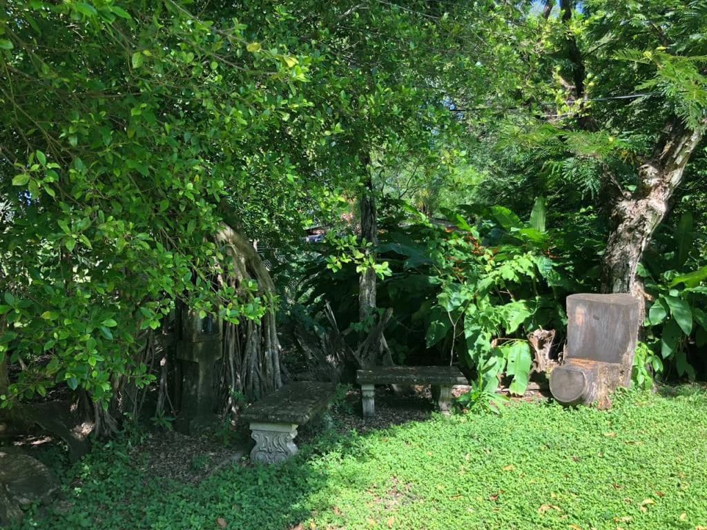 Huge dream Cattle farm for sale with 2 houses close to the Gulf of Nicoya, Guanacaste, Costa Rica - photo 17